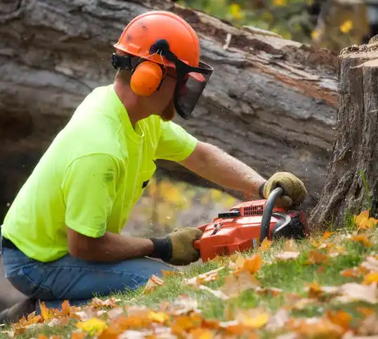 tree services Fort Thomas